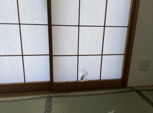 障子に開けられた小さな穴