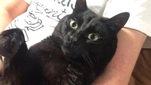 天くんのアップ