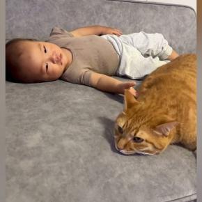 赤ちゃんのそばでくつろいでいた『お兄ちゃん猫』…ほっこりする光景が30万再生「大きさが一緒だね」「ママには甘えたいんだw」