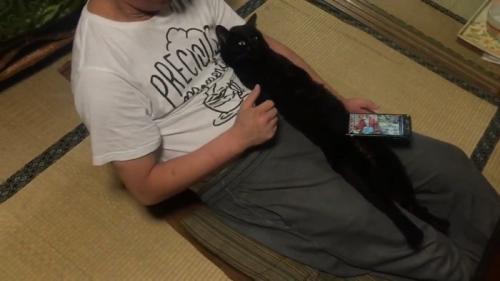 真っ直ぐ伸びた姿