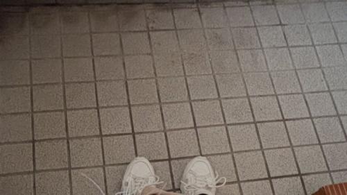 玄関と飼い主の靴