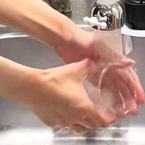洗い物をしていると、そばにやってきた猫→真剣な表情でじっと見つめてきて…可愛すぎる行動に「一緒にいたいんだねｗ」「品質管理かなｗ」の声