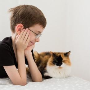 猫との『距離を取ったほうがいい』5つのタイミング 近付いてはいけない理由や適切な接し方まで