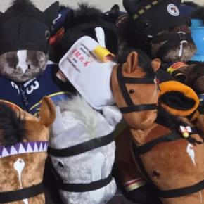『猫がいなくなった』と大騒ぎしていた母→家族総出で探し始めて3時間…まさかの光景に「難易度高ぁああぁ」「見事な紛れ方w」と話題