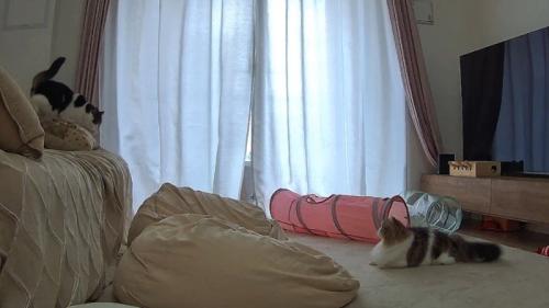 接近するふたり