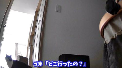 どこ行ったの?