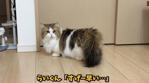 すげー早い…