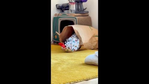 斜め後ろから