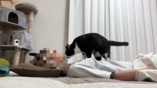 体の上へ