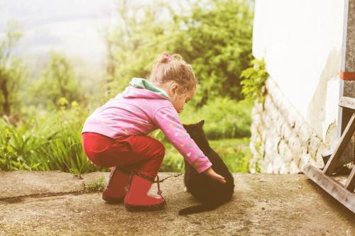 猫をなでる少女