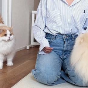 犬カフェから帰ってきたら、『猫と犬』にバレたようで…思わず笑顔になる光景に「ヤキモチかわいいw」「愛おしくてたまらん」と反響