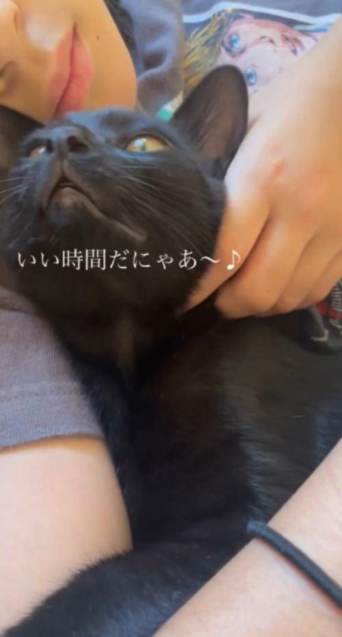 アゴを撫でる女の子の顔を見上げる黒猫