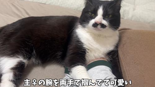 両手で掴んで