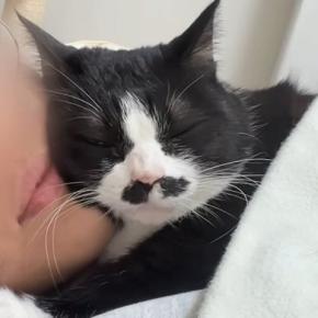 超甘えん坊な猫が眠りにつくまで…尊すぎる『ナイトルーティン』に癒される人が続出「好きでたまらんのねw」「likeじゃなくてlove」