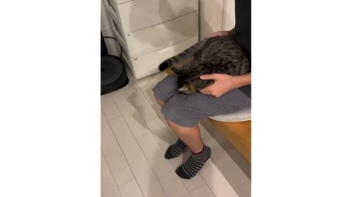 猫と椅子に座る女性