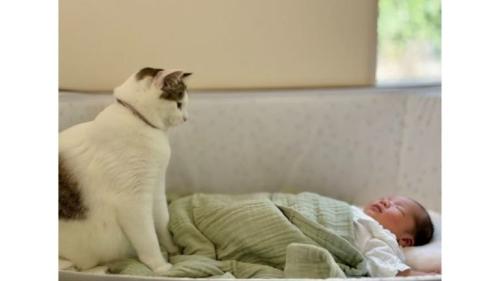 猫と赤ちゃん