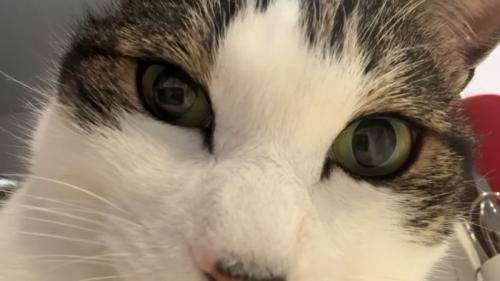 目元のドアップ