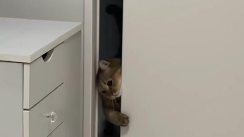 ドアの隙間