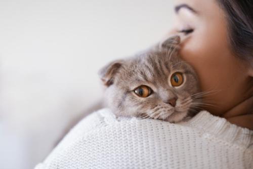 したり顔で抱かれる猫