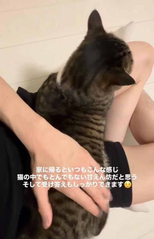 少し右側を向きながらお尻を撫でられる猫