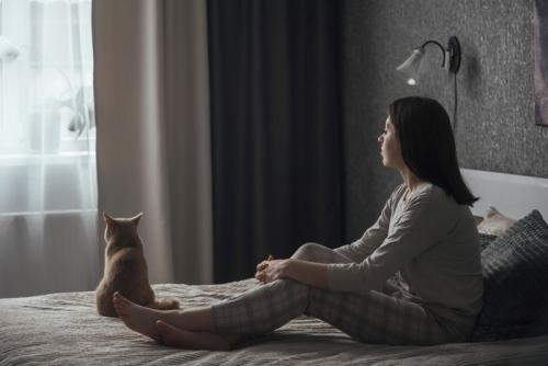 猫の背中を見守る飼い主
