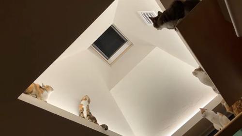 みんなで一点集中・別アングル