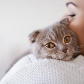 猫と暮らして『成長させられた』と感じること5つ 愛猫の存在が飼い主にもたらす変化とは?