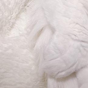 真っ白な毛布の上をよーく見たら、猫が…『まさかの光景』が凄すぎると4万7000いいね「本当に見事」「新しい視力検査みたいな」