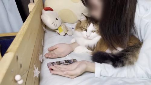 人の腕の間にいる猫