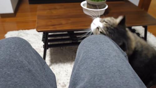 上を向きながら膝にスリッ