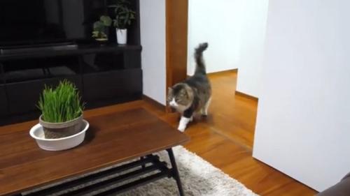 入室