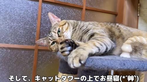 いつものリタさん