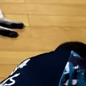 床を見たら、『遊び疲れた猫』と『仕事で疲れたパパ』が…思わず笑ってしまう光景に「事件現場かと思ったｗ」「3匹ともお疲れさまｗ」と反響