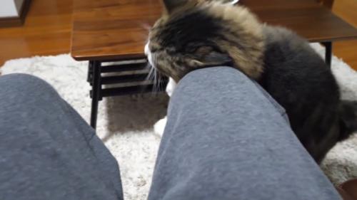 膝にスリッ