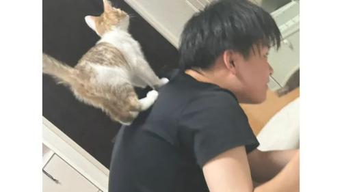 男性と猫