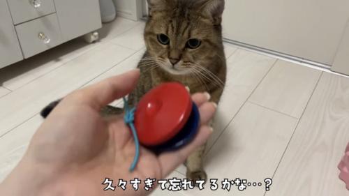 「久々すぎて...」のテロップ写真1