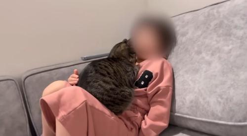 女の子と一緒に座っている猫