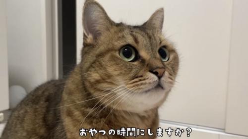 「おやつの時間にしますか？」のテロップ写真1