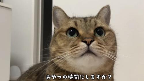 「おやつの時間にしますか？」のテロップ写真2