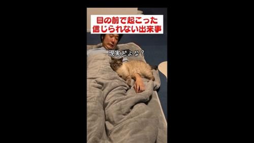 現実だよな?