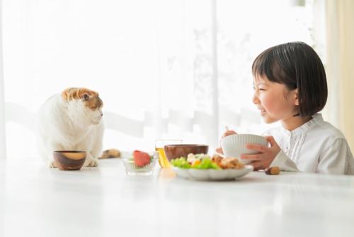 朝食をとる女の子と猫