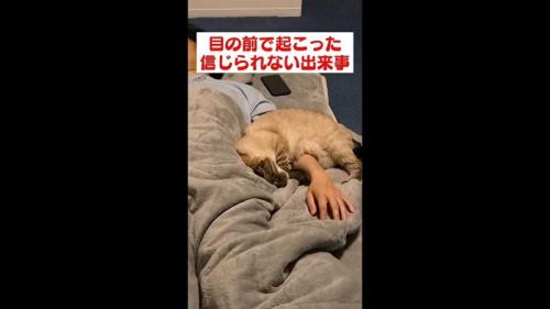 丸まった姿