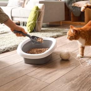 猫に使わせるのは『おすすめできない猫グッズ』3選　トラブルにつながる可能性や安全な選び方