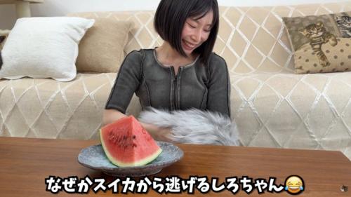 テロップ「なぜかスイカから～」
