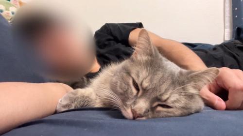眠った姿