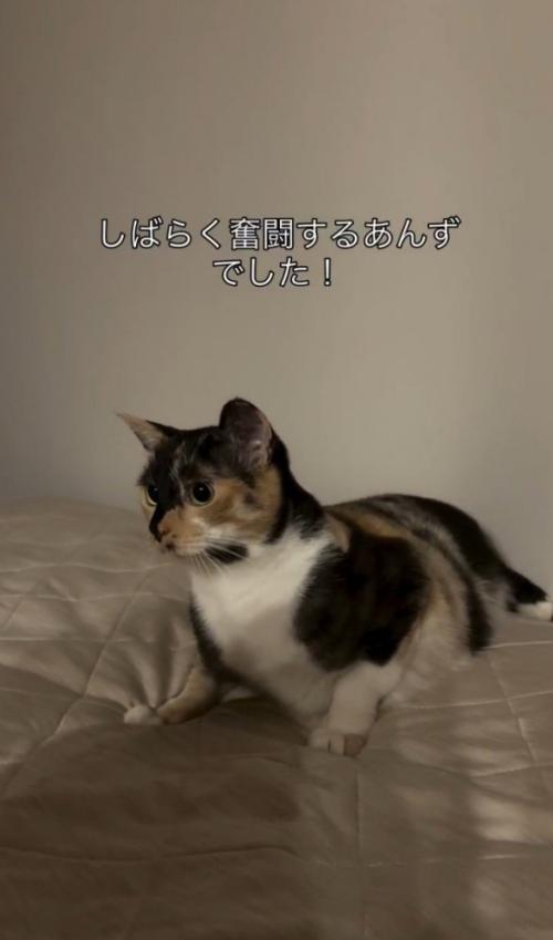 「しばらく…」と書かれた写真