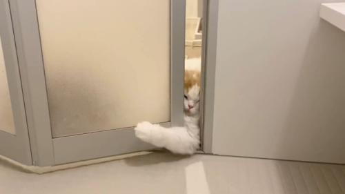 腕を動かして
