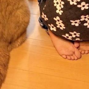 窓の外を眺める女の子と猫→2年半後に『同じ場所』で撮影すると…ほっこりする光景が200万表示「可愛いが増えたw」「子供の成長は早い」
