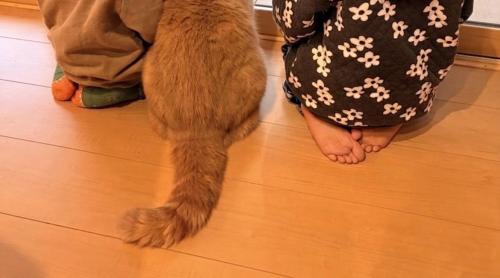 足元