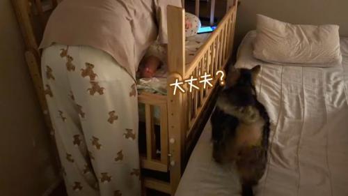 大丈夫?